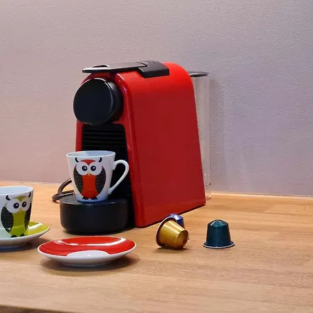 アパート Stylish In Art Nouveau Building *