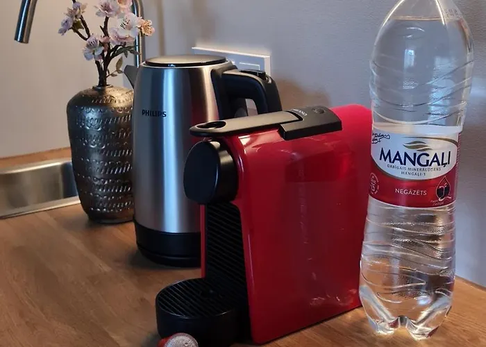 Stylish In Art Nouveau Building Dzīvoklis Riga