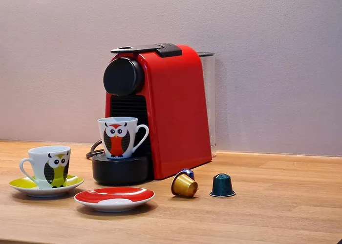 Dzīvoklis Stylish In Art Nouveau Building *