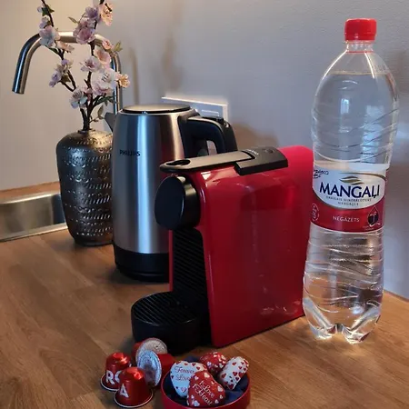 Stylish In Art Nouveau Building Appartamento Riga